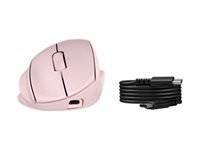 HP Tilt Ergonomische 720M – Vertikale Maus – Kabellos (Bluetooth/2,4 GHz), Rechts, Pink