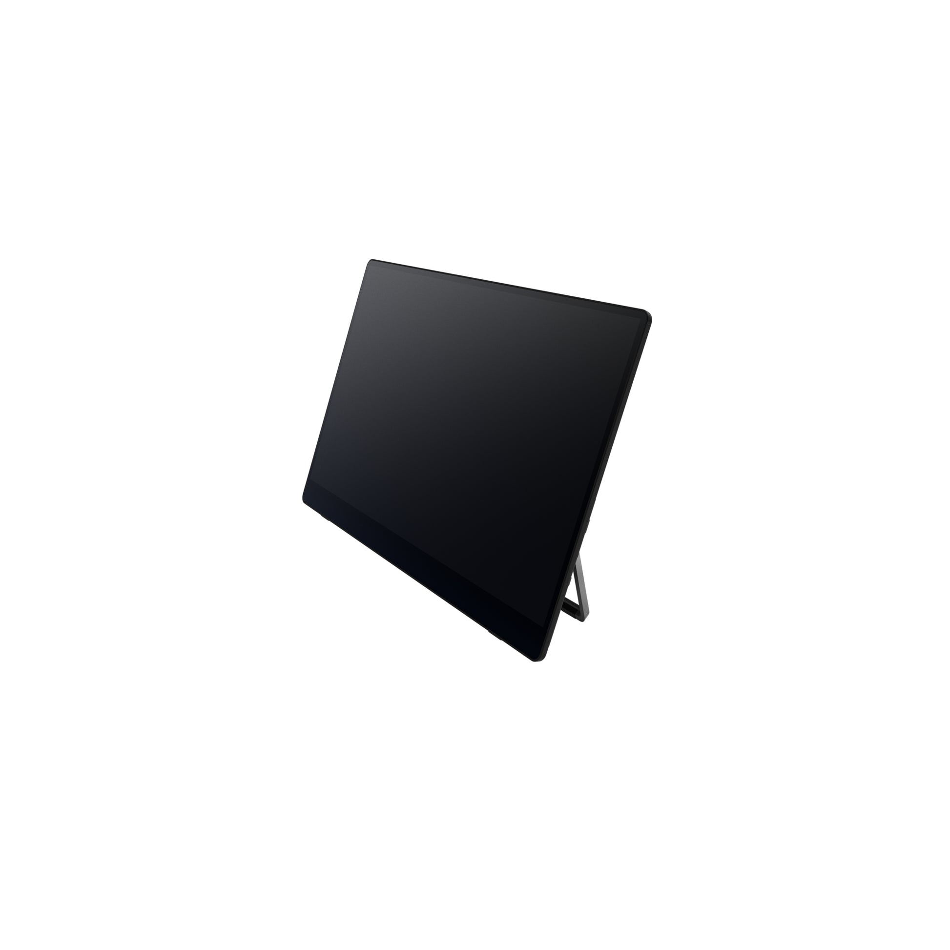 Ricoh 150BW – Portabler Monitor, 15,6", OLED, Touch, USB