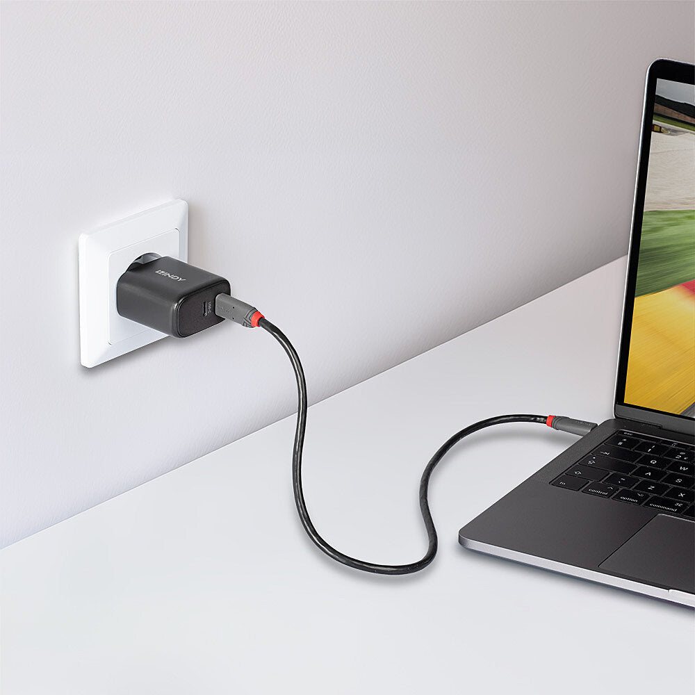 Lindy Ladegerät – 65 W, 2× USB-C, GaN