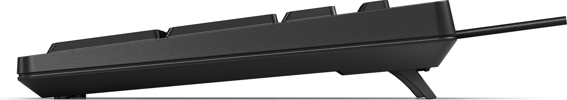 HP 125 – Tastatur, kabelgebunden (USB-A), CH-Layout (DE-CH), Fullsize (mit Ziffernblock), Membran, Schwarz