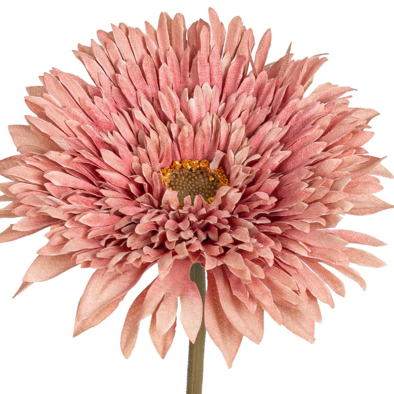 Botanic-Haus Künstliche Blütenpflanze – Höhe 63 cm – Stoff & Kunststoff, Altrosa, 12-teilig