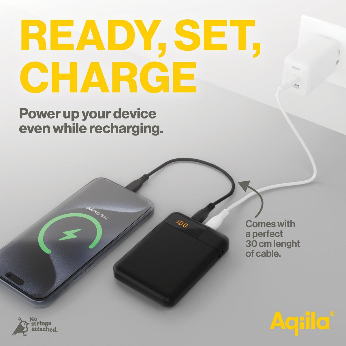 Aqiila Powerbird B5 Powerbank 5'000 mAh – 12 W, 2× USB-C, 1× USB-A, Moosgrün