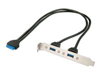 Lindy USB 20-Pin DIP auf 2× USB-A Verlängerungskabel – USB 3.2 Gen 1 (5 Gbit/s) – 0,4 m – für PC-Rückwand