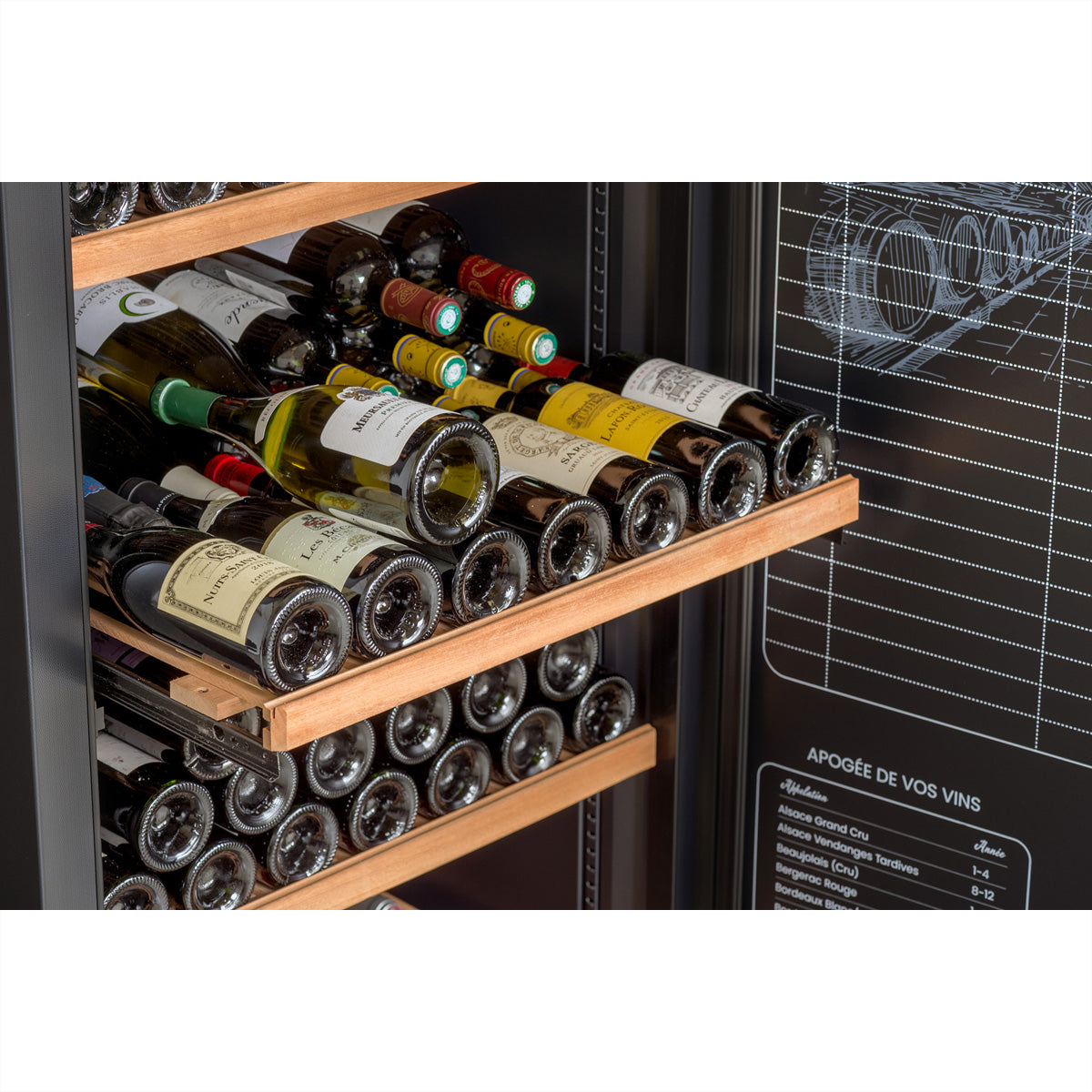 Climadiff Weinkühlschrank RESERVE275F – 297 Flaschen, 220 V, Kompressor, Energieeffizienzklasse F