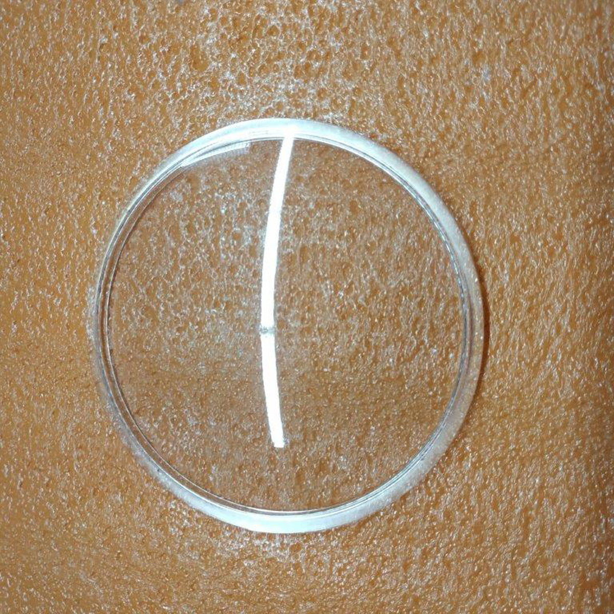 Solis Deckel für Bohnenbehälter Typ 1661 – für Kaffeemaschinen