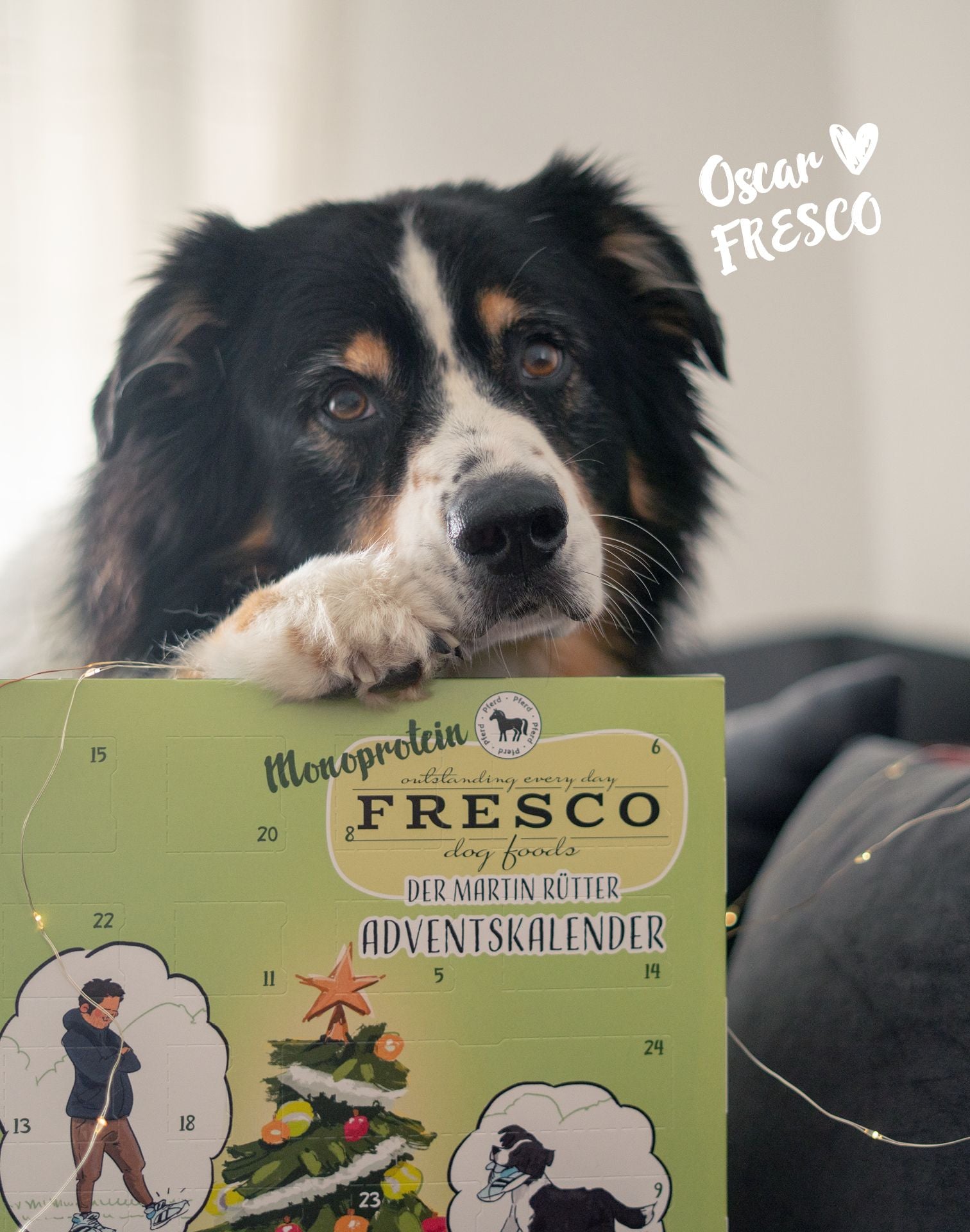 Fresco Adventskalender Mono – Pferd – 180 g