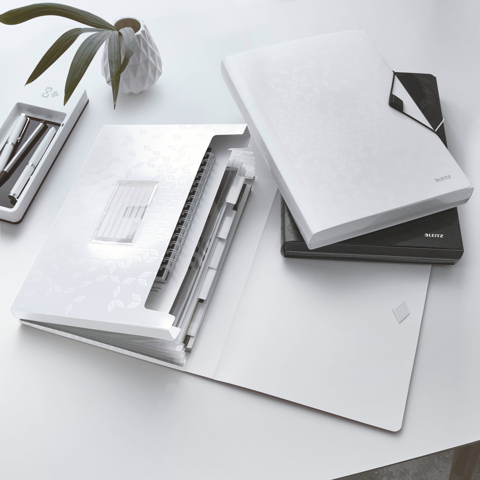 Leitz WOW A4 Fächermappe – 6 Fächer, Gummiband, Polypropylen (PP), Weiss, bis 250 Blatt