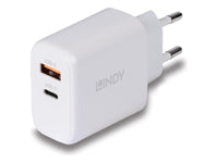 Lindy Ladegerät – 65 W, USB-A + USB-C, GaN