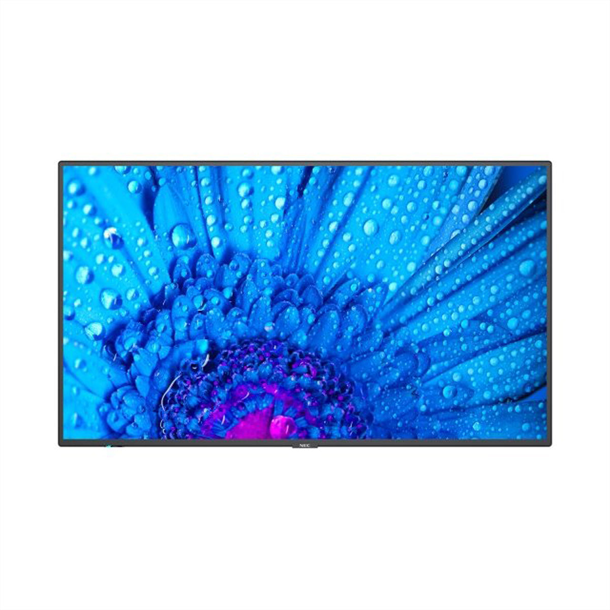 Sharp NEC MultiSync M861 – 86", 3840 × 2160 (4K), LAN