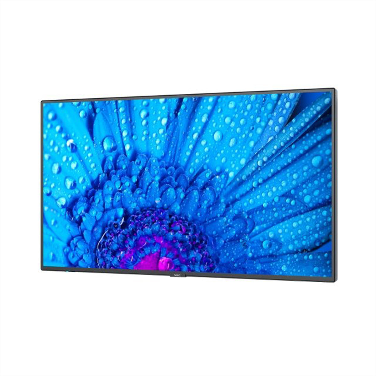 Sharp NEC MultiSync M861 – 86", 3840 × 2160 (4K), LAN
