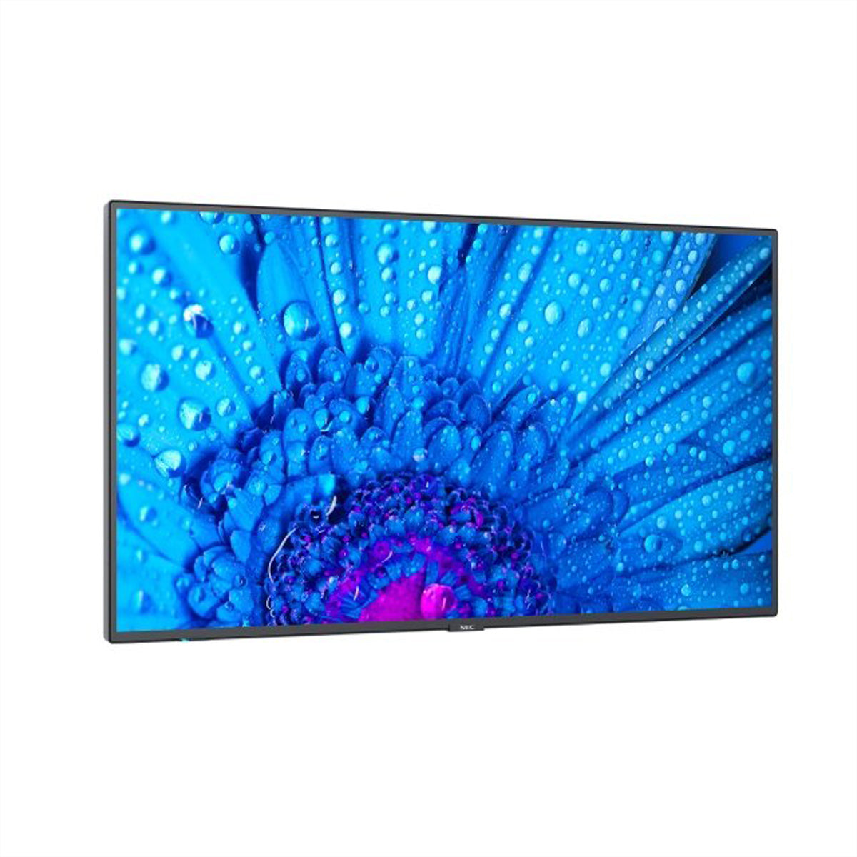 Sharp NEC MultiSync M861 – 86", 3840 × 2160 (4K), LAN