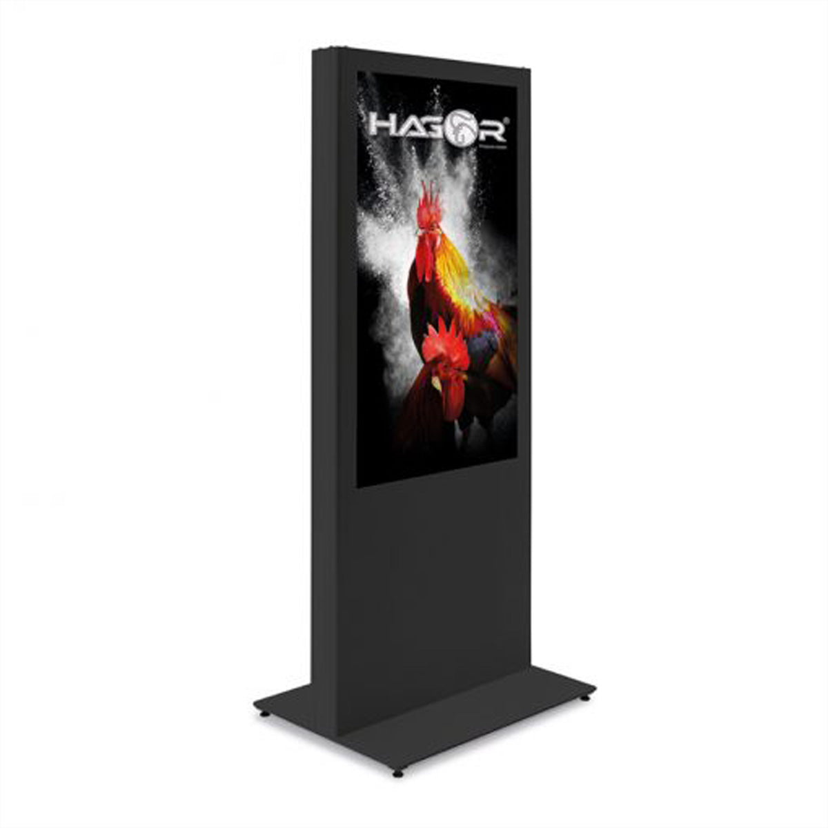 Hagor Digital Signage Stand für 49–55" Displays, VESA 200×200 bis 600×400 – abschliessbar – Metall, grau