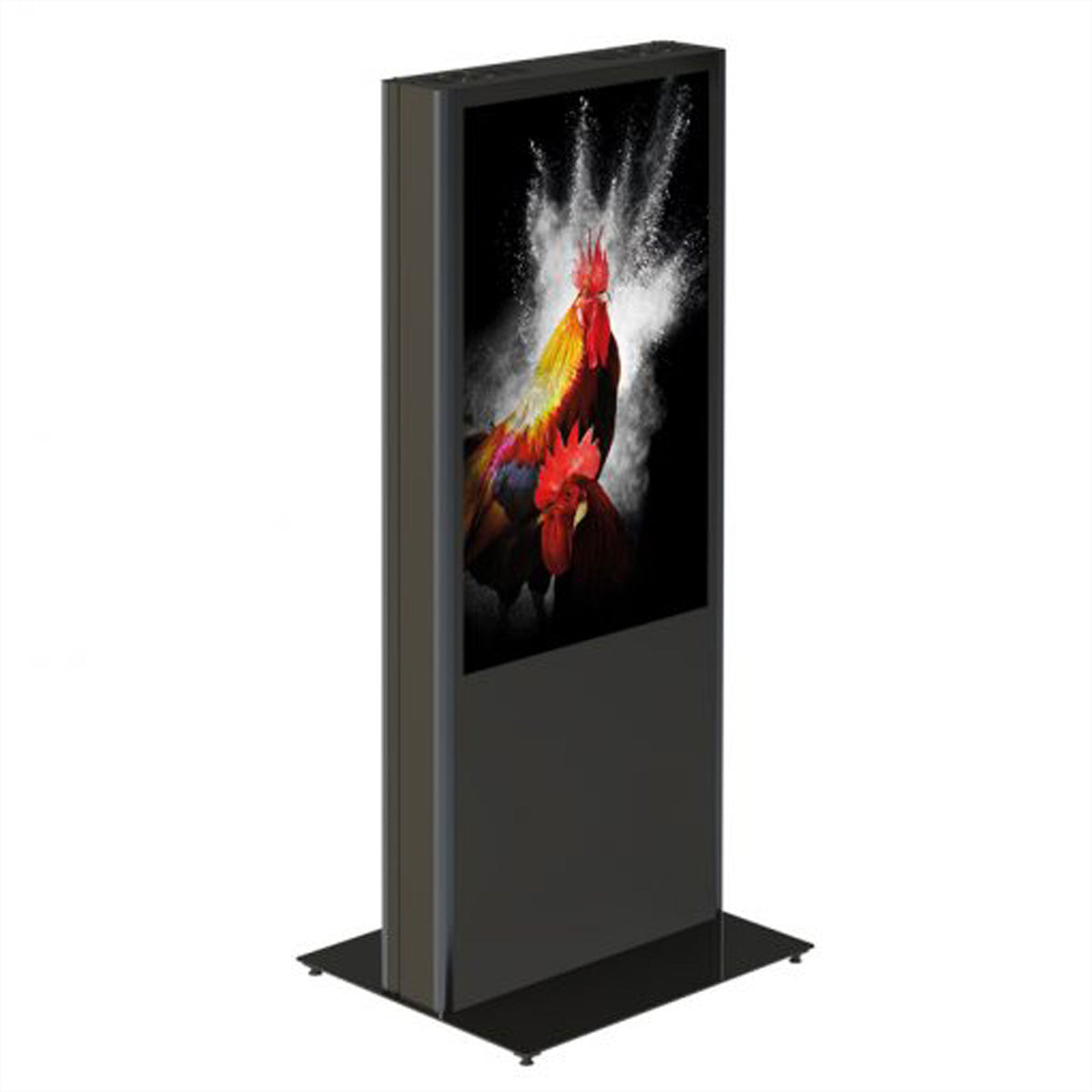 Hagor Digital-Signage-Stand – zweiseitig, abschliessbar – Metall, anthrazitgrau – vis-it Portrait B2B