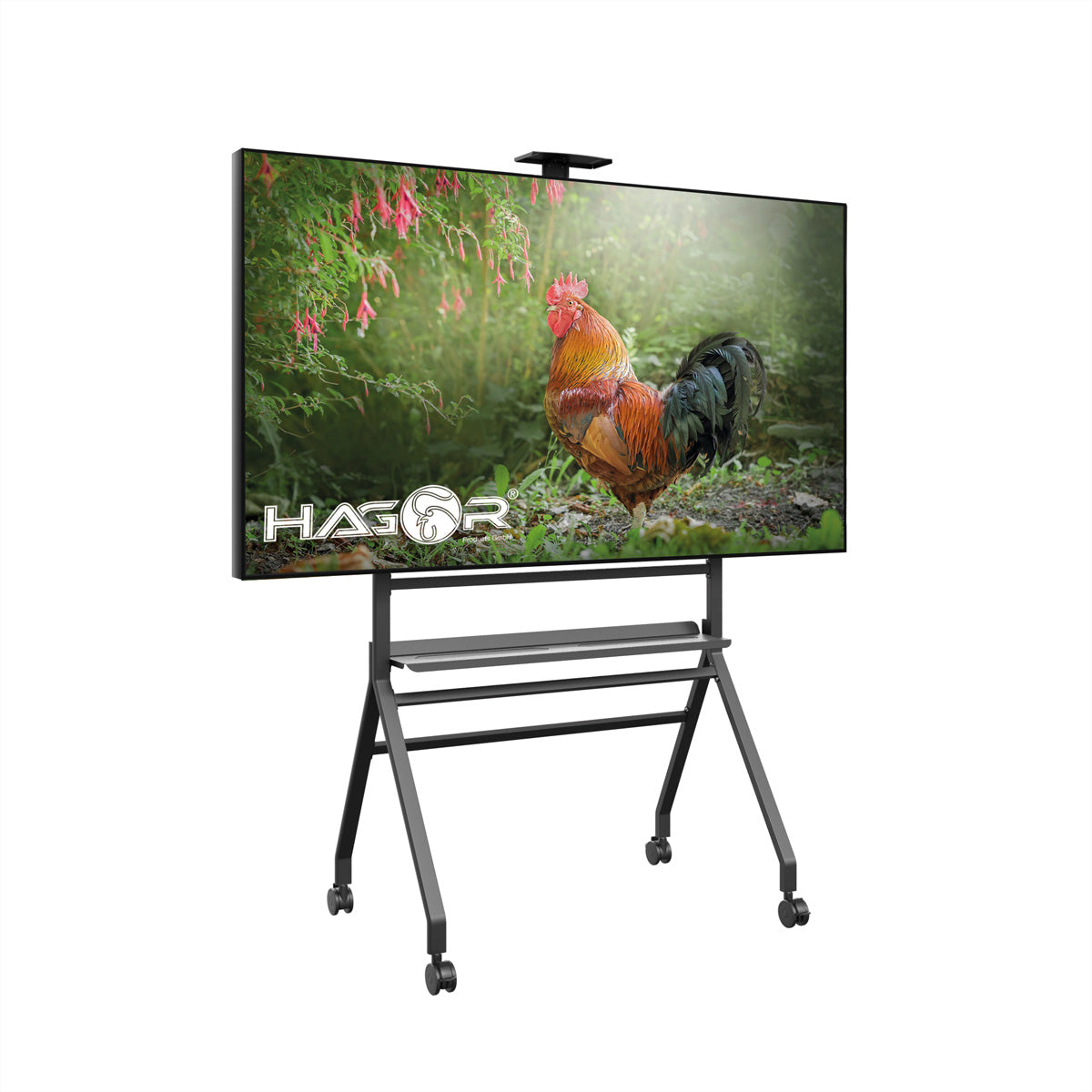 Hagor Bodenständer – neigbar – 75–85" – bis 90 kg, höhenverstellbar, für Samsung Flip 75"/85"