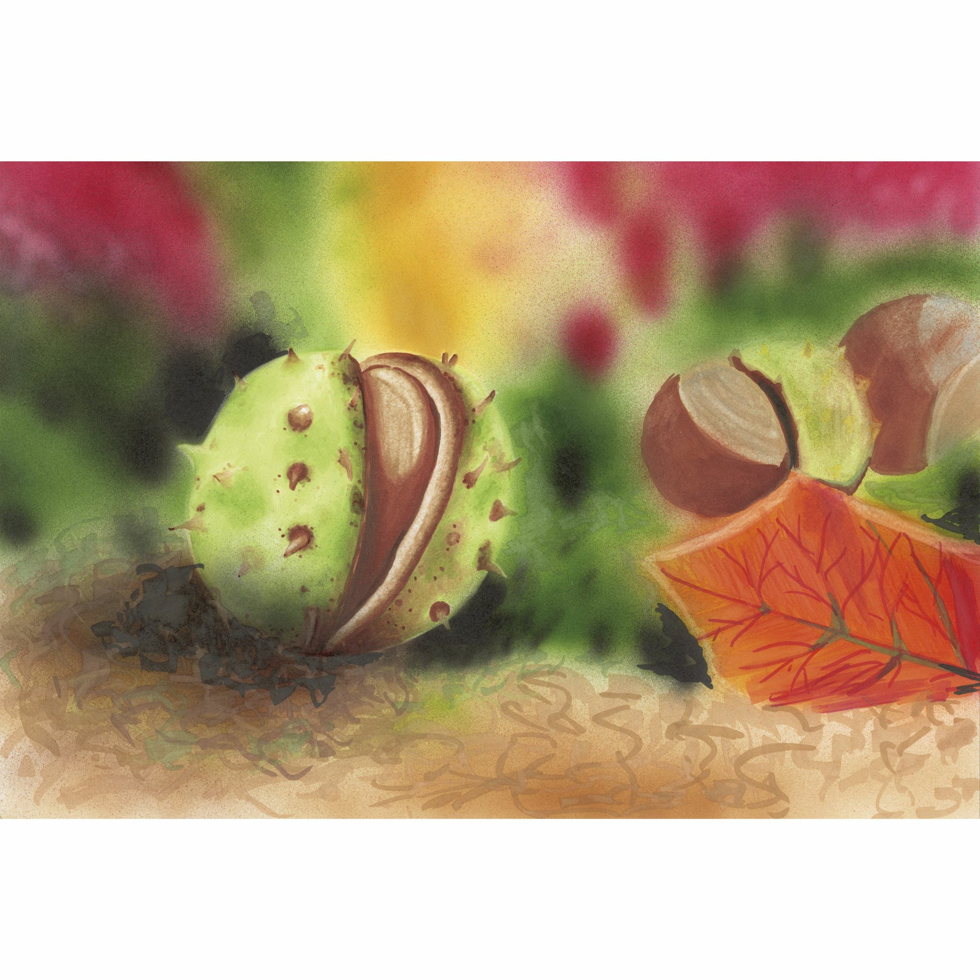 Copic Classic Marker – Duo-Spitze Meissel/Feinspitze, Mehrfarbig, 12er Set