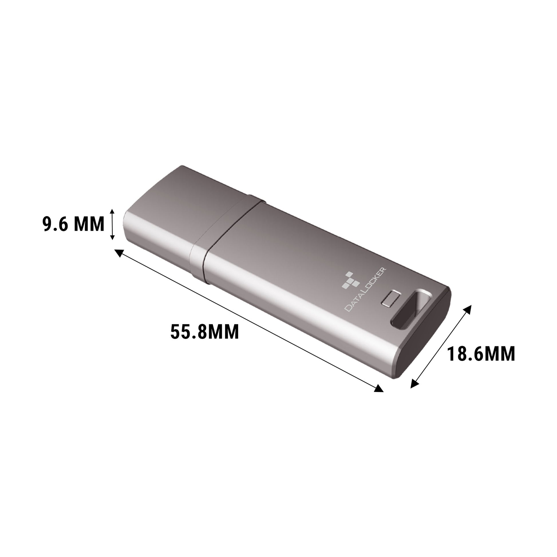 DataLocker DL GO USB-Stick 16 GB – USB-A 3.2 Gen 2, 160/120 MB/s, AES-256, FIPS 197, IP68, mit Kappe, Grau