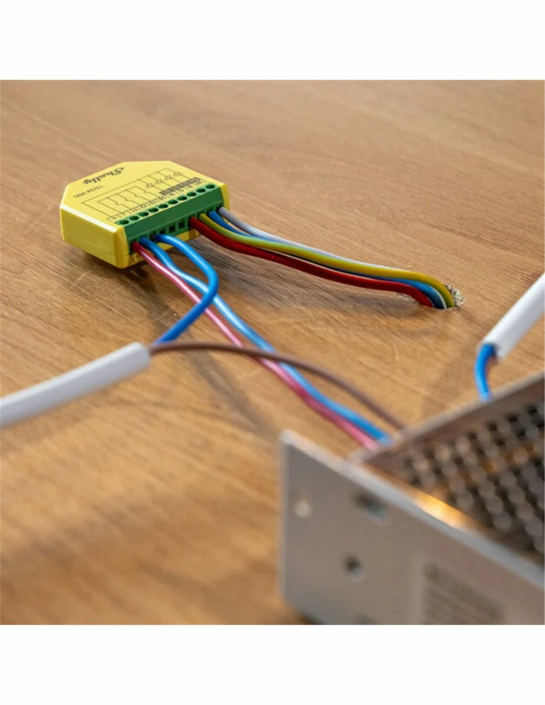 Shelly Dimmaktor Plus RGBW PM – Zubehör – Dimmaktor (RGBW), WLAN – für Amazon Alexa, Google Assistant