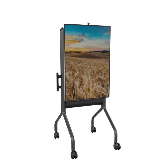 Chief Bodenständer – 50–85" – bis 79,4 kg, für Audio-/DVD-Zubehör – LSCUB, Schwarz