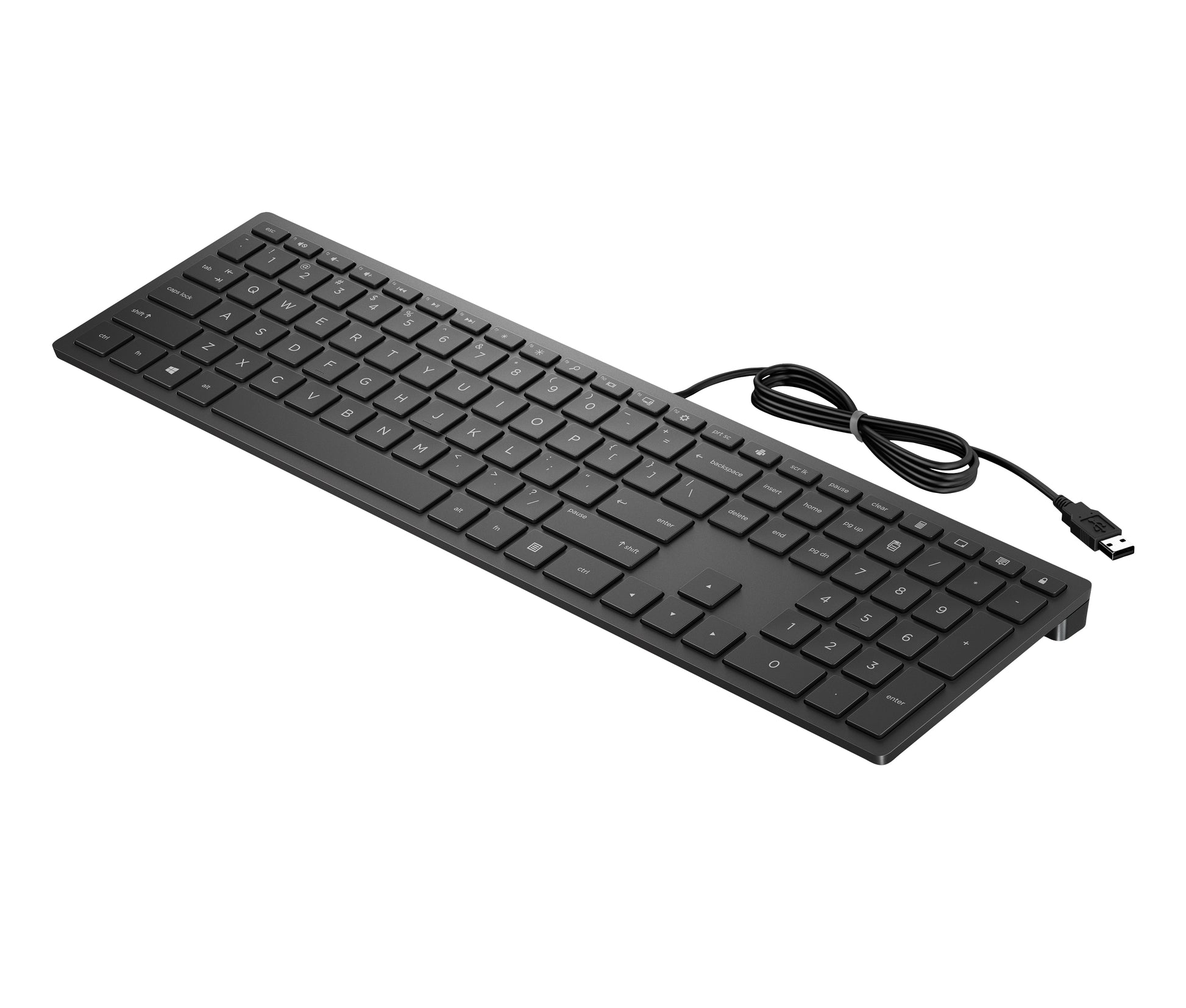 HP PAV Wired Keyboard 300 – Tastatur – Mechanisch – Kabelgebunden, USB – Schwarz