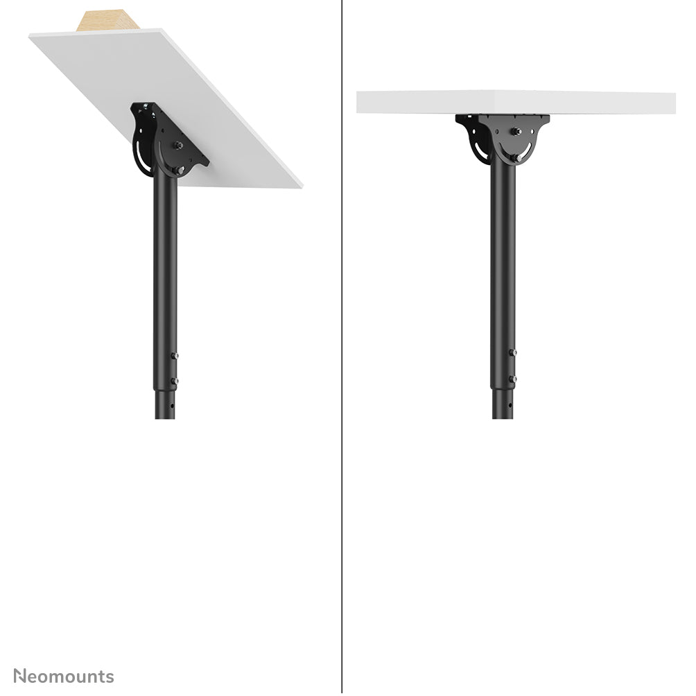 Neomounts Deckenhalterung – Back-to-Back – 32–60" – VESA 200×200–400×400 – bis 45 kg, Teleskopmast