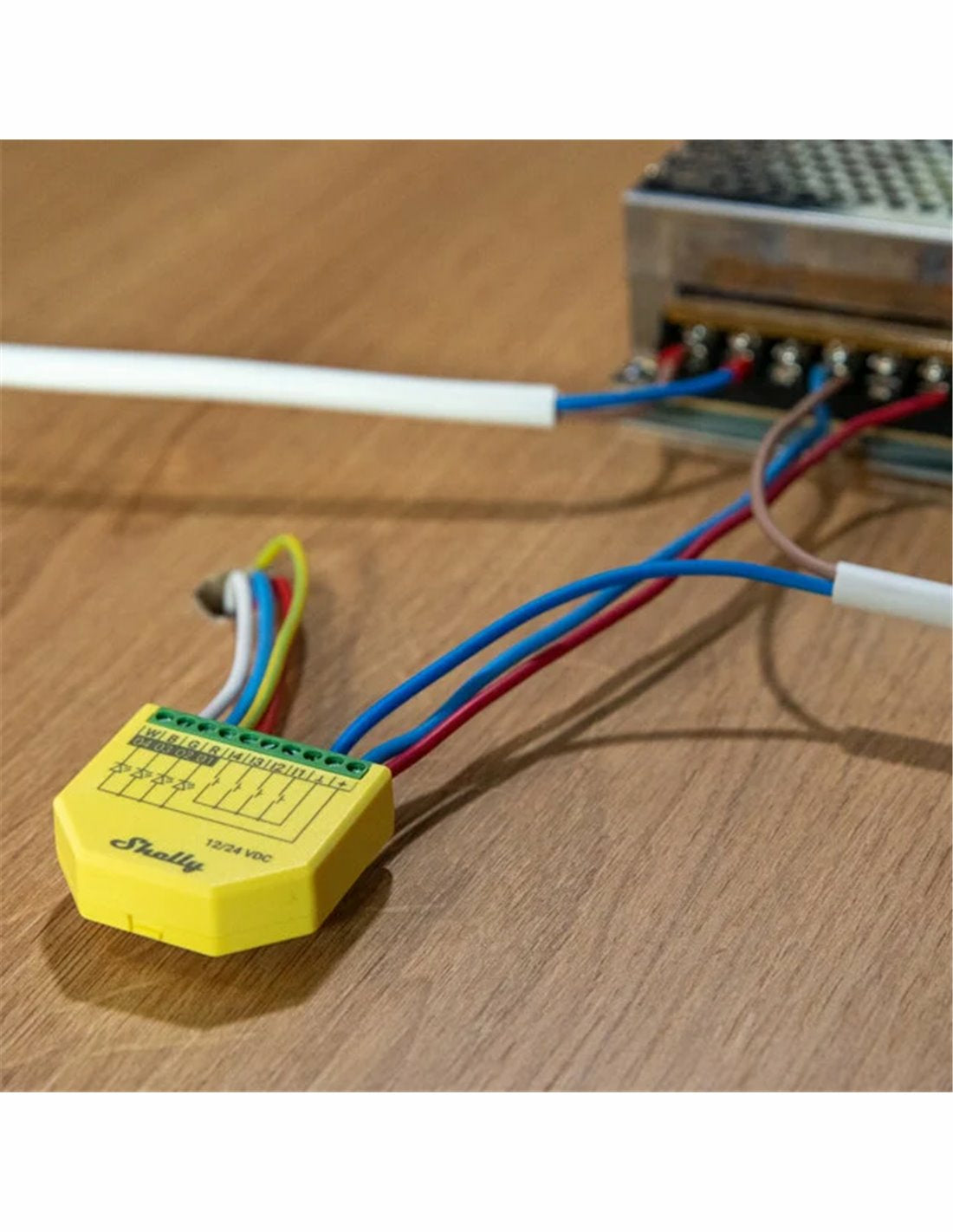 Shelly Dimmaktor Plus RGBW PM – Zubehör – Dimmaktor (RGBW), WLAN – für Amazon Alexa, Google Assistant