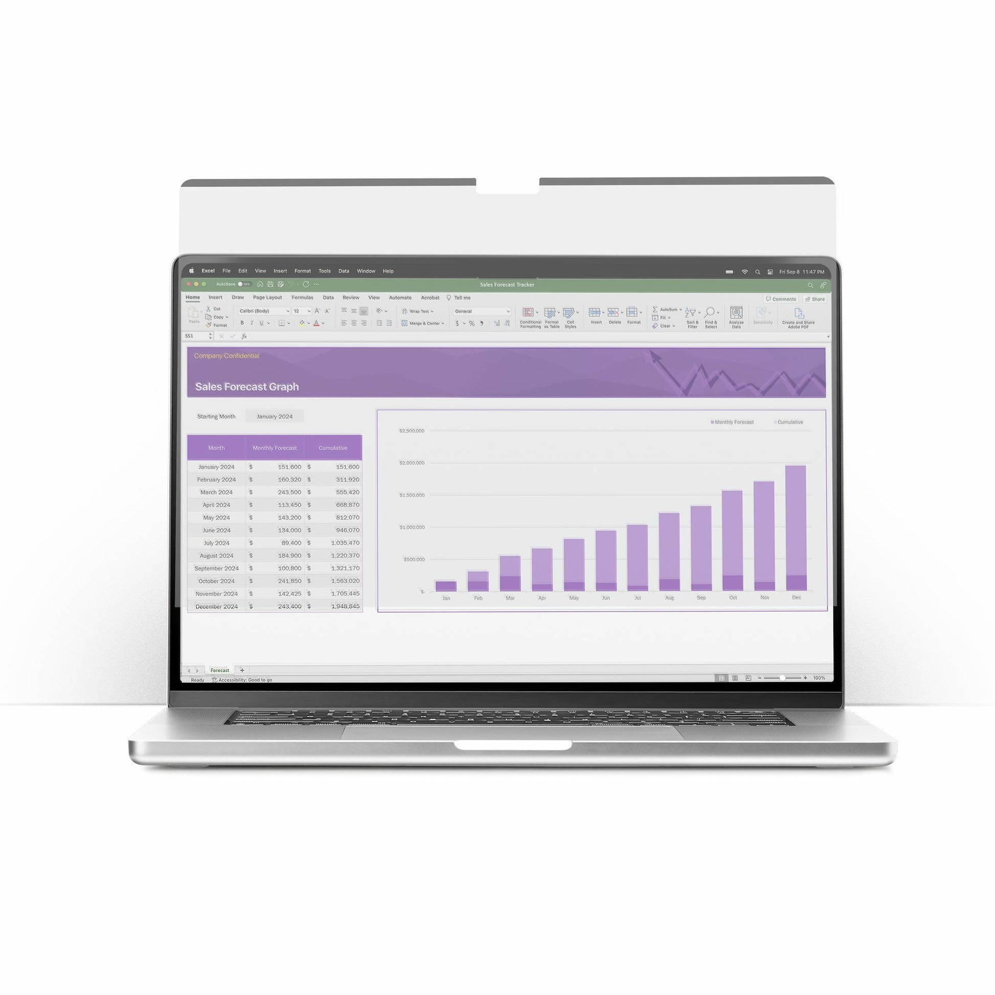 StarTech.com Displayschutz für 15,6" Laptops