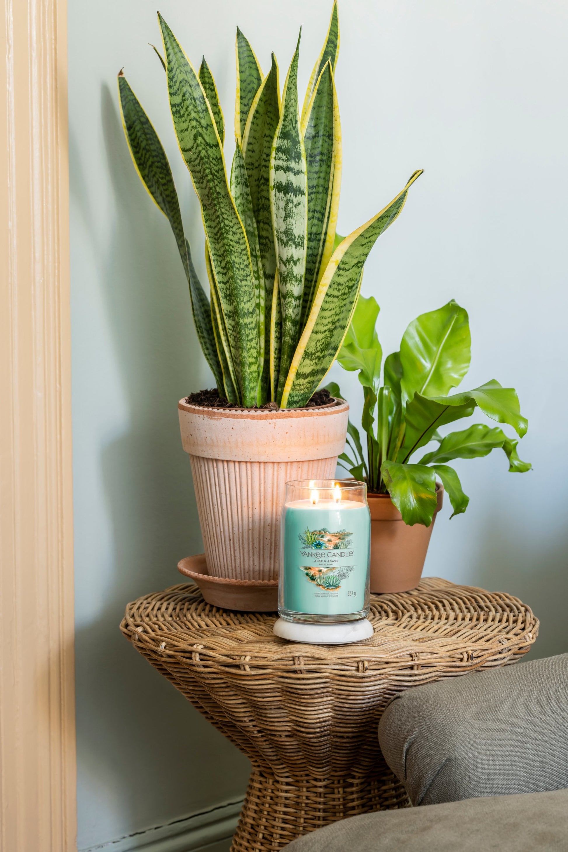 Yankee Candle Aloe & Agave – Duftkerze, Grosses Glas, 90 h