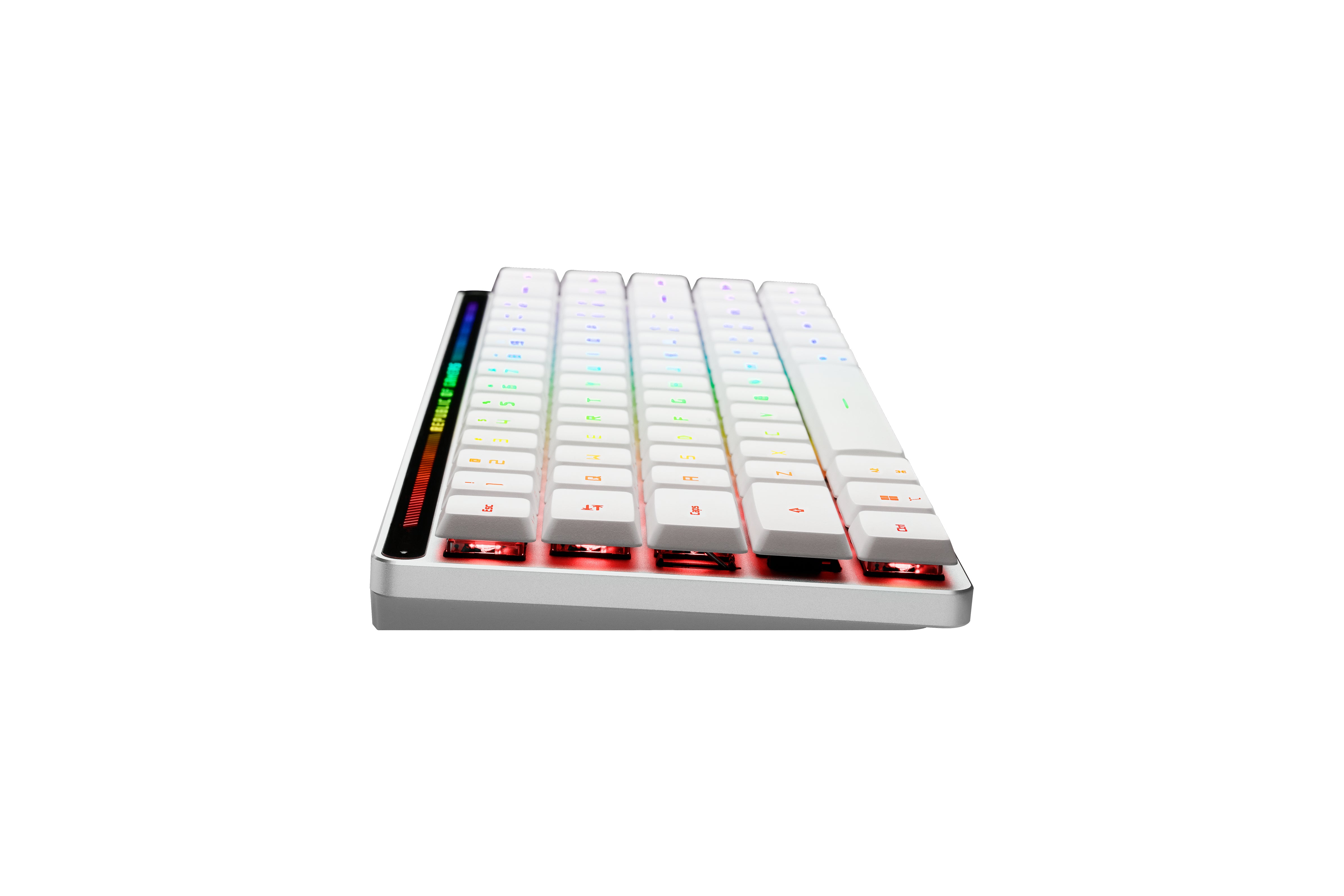 ASUS Falchion RX – Tastatur, kabellos (Bluetooth/2,4 GHz), CH-Layout (DE-CH) – für Windows & macOS