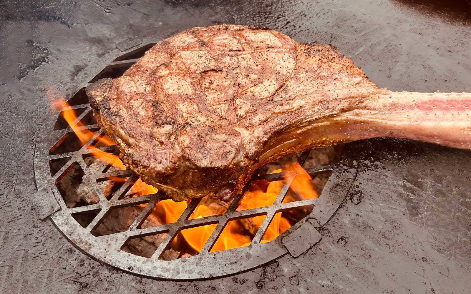 FENNEK Grillrost – Ø 29,8 cm, Höhe 0,6 cm, Edelstahl – für Feuerplatte