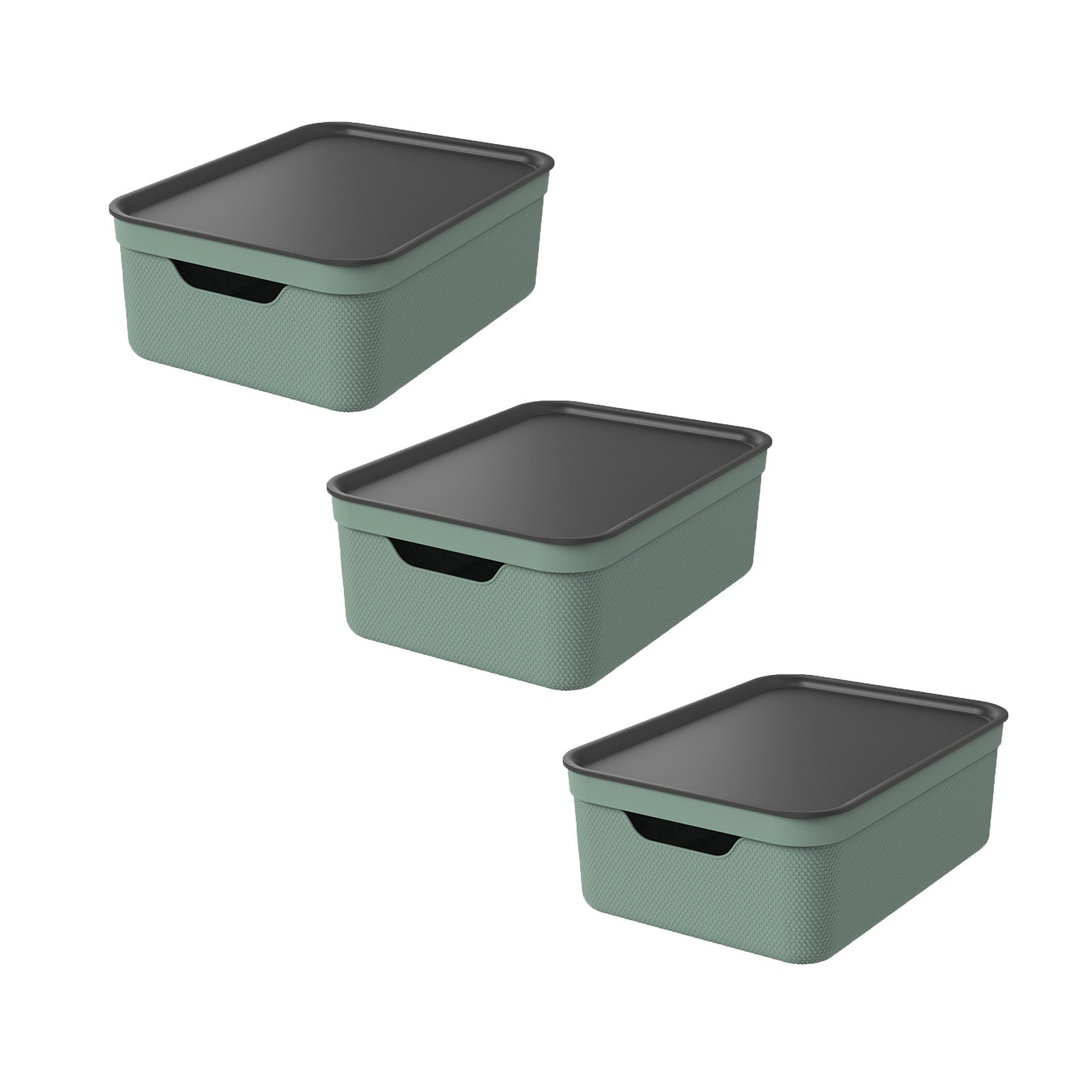 Rotho Aufbewahrungsbox 13 l (mit Deckel) – Kunststoff – Grün – für A4 – mit Griff – 278 × 130 × 375 mm
