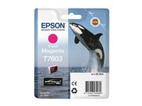 Epson Tintenpatrone T7603, Magenta, Hohe Reichweite, 1'356 Seiten, Original – für Epson-Drucker