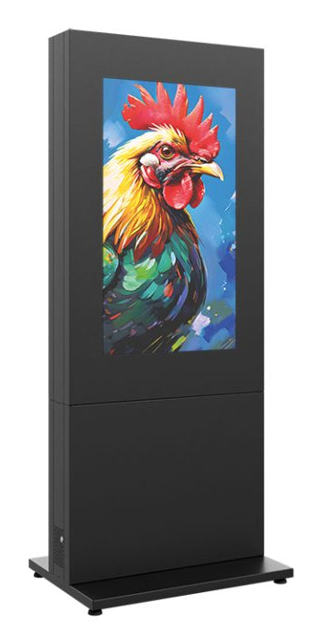 Hagor Bodenständer – bis 46" – für 2 Displays, Diebstahlsicherung – Anthrazitgrau