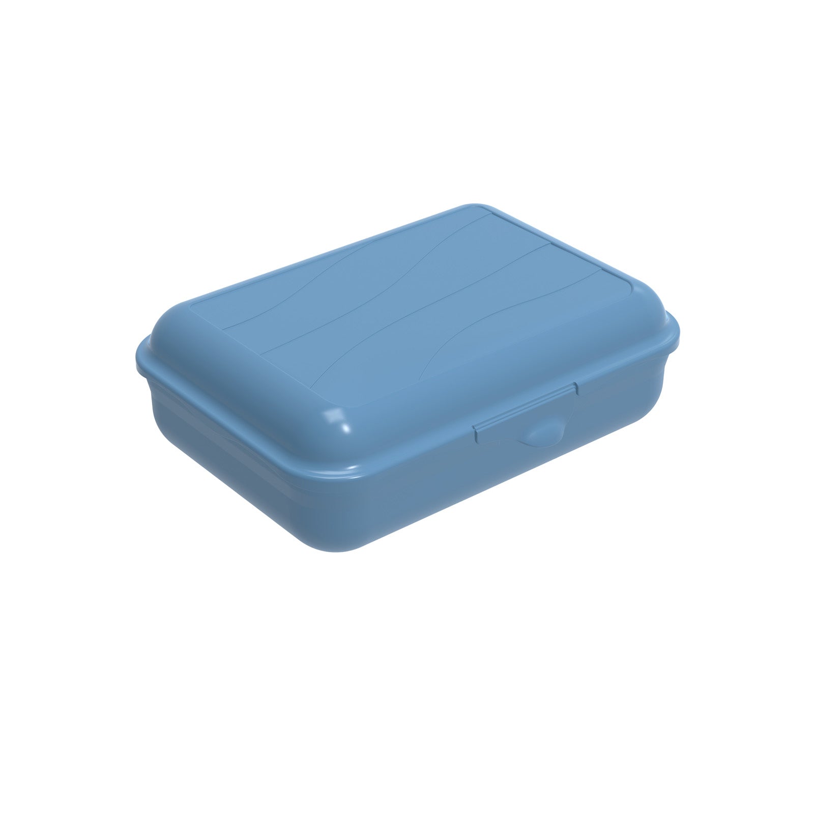 Rotho Lunchbox 1,3 l, 19,5 × 14,5 × 6,5 cm, Polypropylen (PP), blau