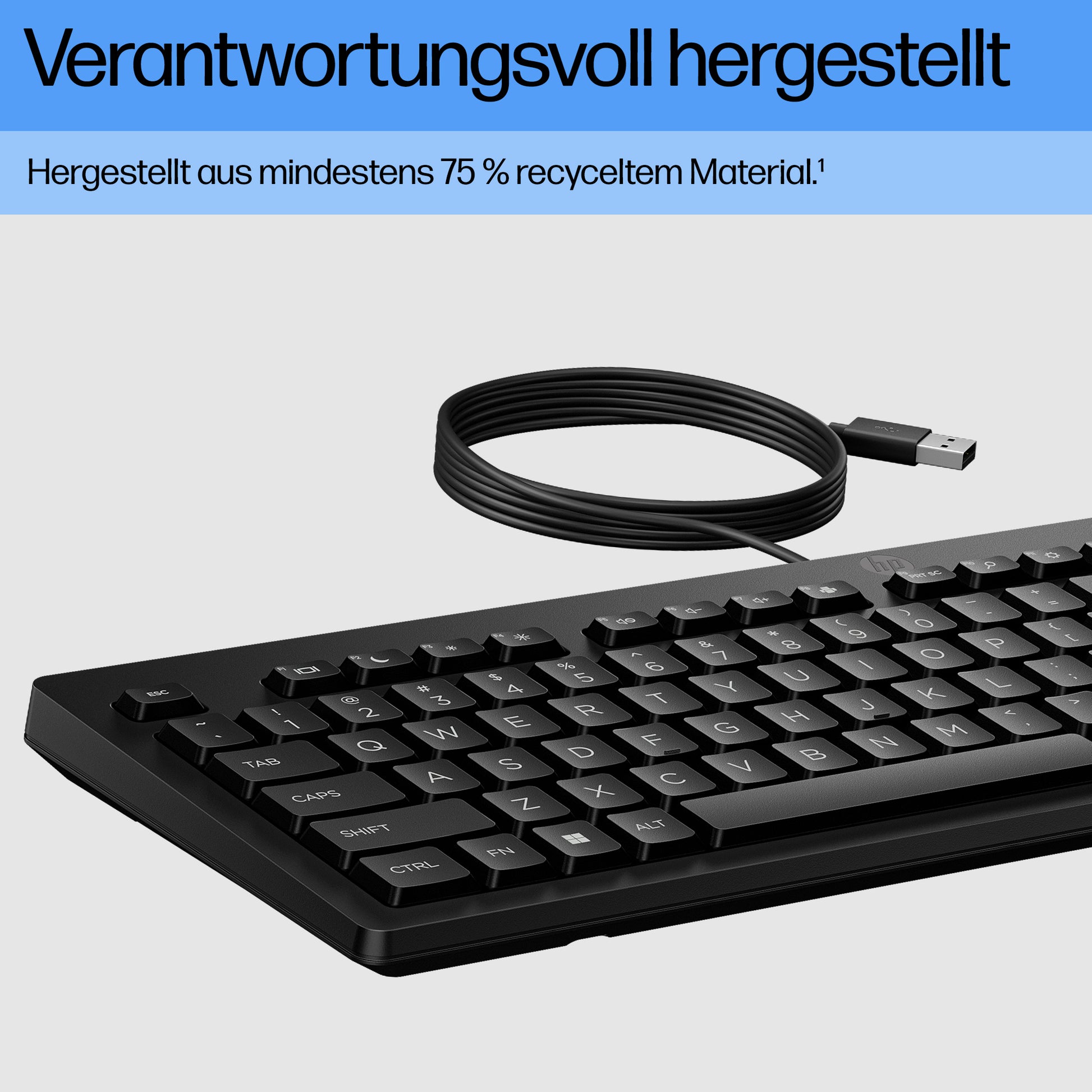 HP 125 – Tastatur – Membran – kabelgebunden – USB – QWERTY (Nordic) – Schwarz