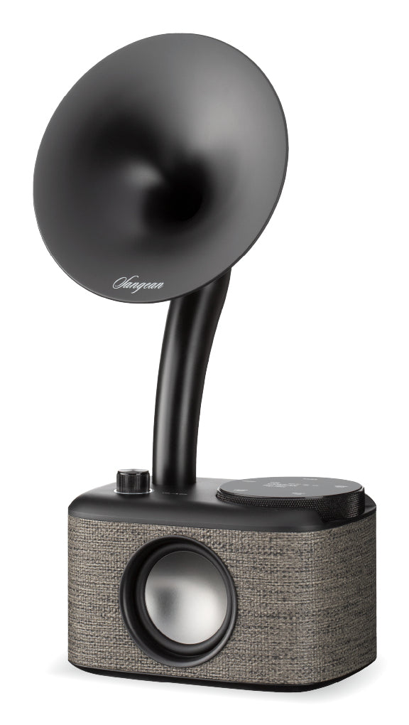 Sangean CP-100D – DAB+/UKW-Tischradio, Bluetooth – Schwarz