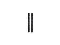 APC AR7721 Vertikaler Kabelmanager – für 600 mm, 42U, Schwarz