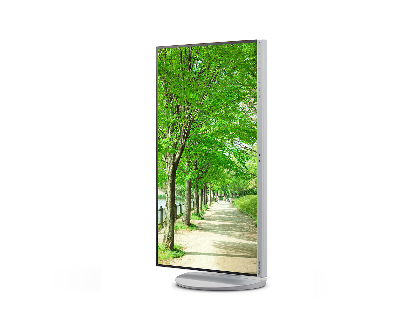 Sharp EA272QW – 27", 2560 × 1440 (WQHD), IPS, USB‑C 90 W, LAN