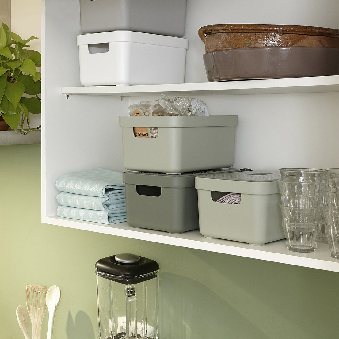 Sigma home Aufbewahrungsbox 5 l ohne Deckel – Kunststoff – Grün – 252 × 122 × 180 mm