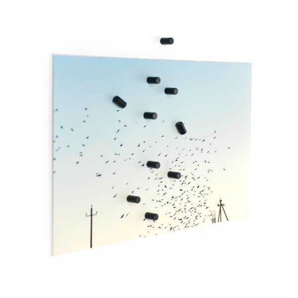 Trendform Tafelmagnete – Ø 4 mm, 10 Stk., schwarz