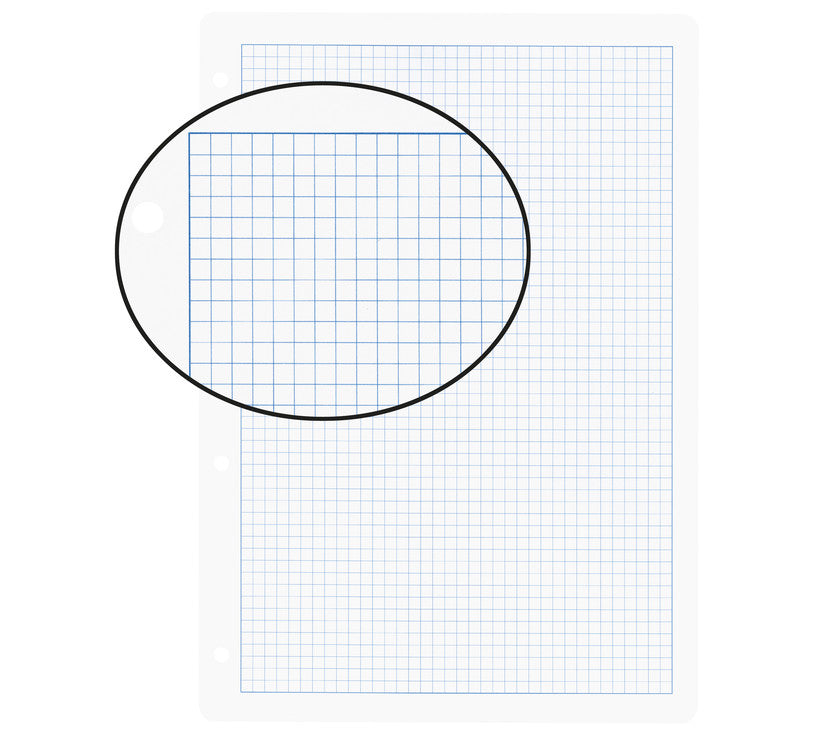 Biella Notizbuch-Einlagen A4, kariert 5 mm, mit Rand, 4-fach gelocht, 90 g/m² – 100 Blatt