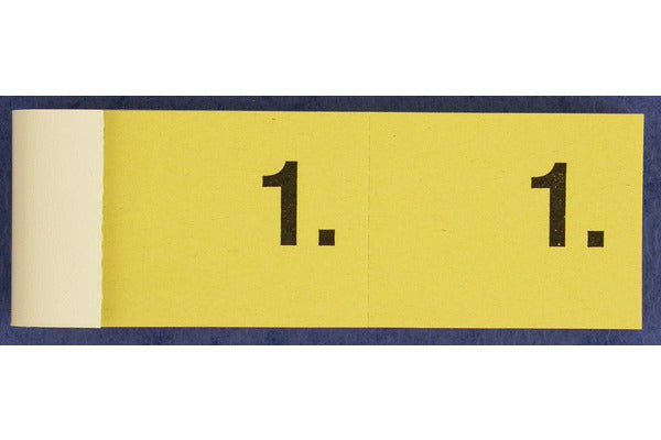 Simplex Ticket, 100 Stück