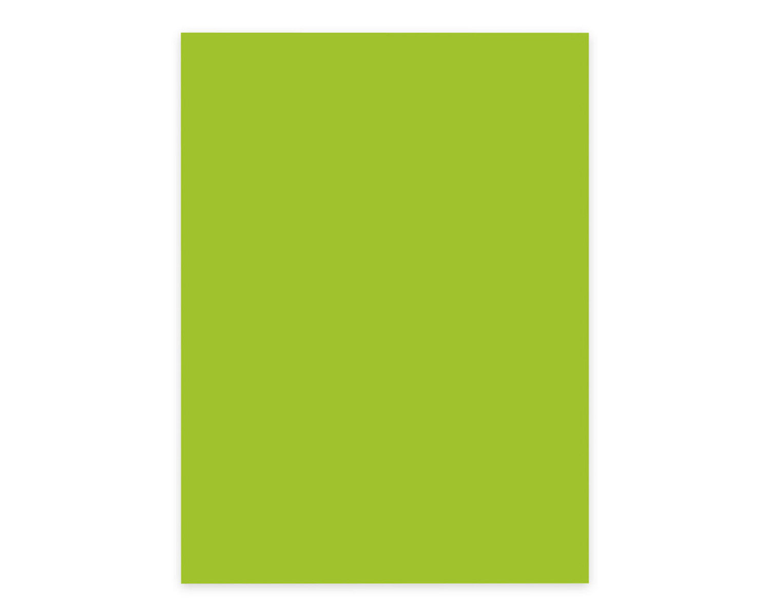 Elco Kopierpapier – A4, 80 g/m², intensivgrün – für Inkjet/Laser/Kopierer – FSC – 100 Blatt