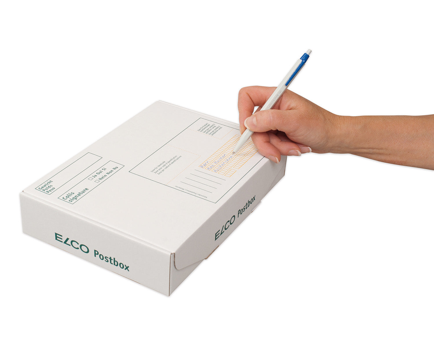 Elco Faltschachtel, weiss, mit Beschriftungsfeldern – 350 × 250 × 50 mm – 5 Stk.
