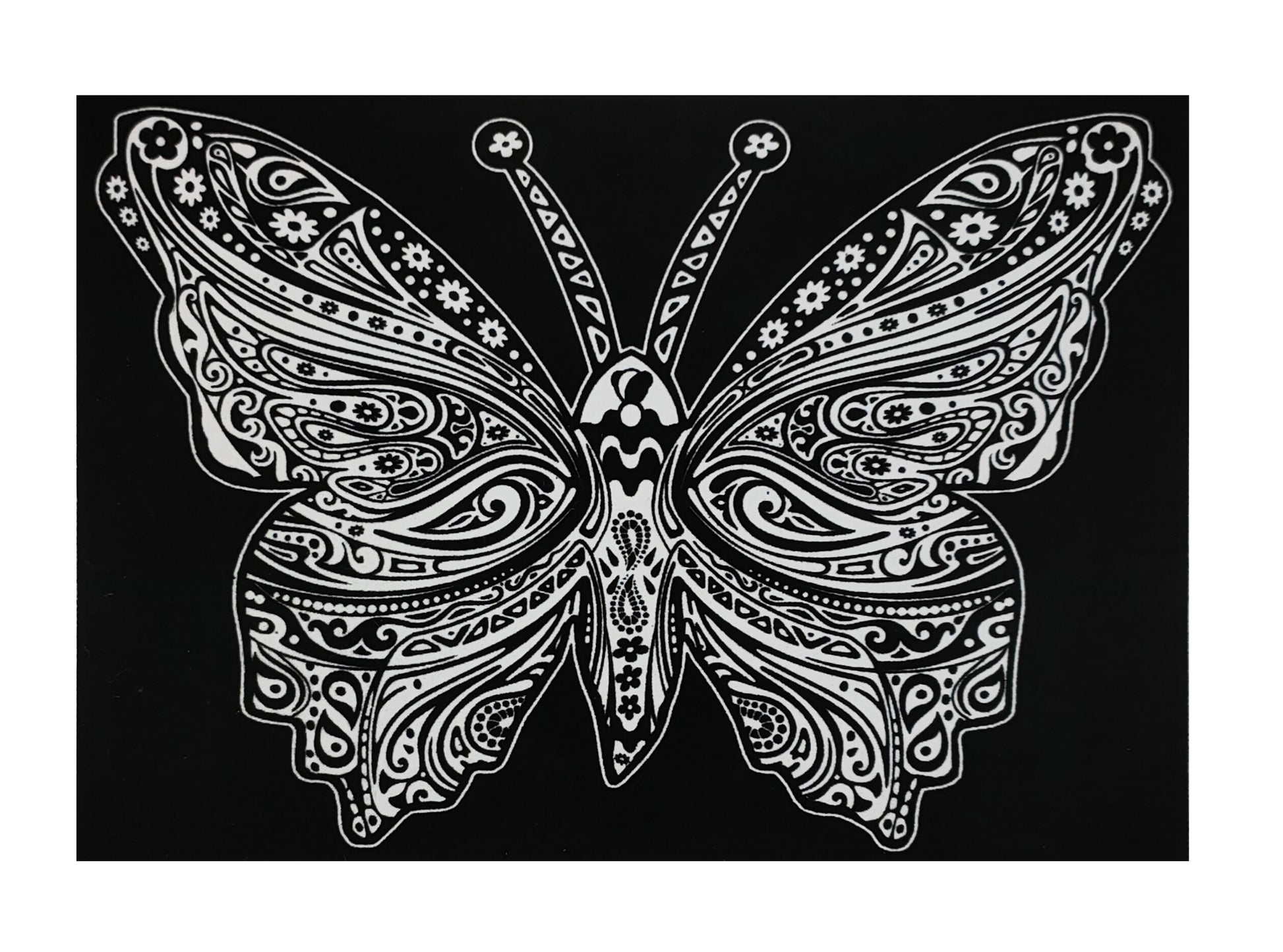 Tataruga Samtbild Malkarton, Karton, 29,7 × 21 cm, schwarz