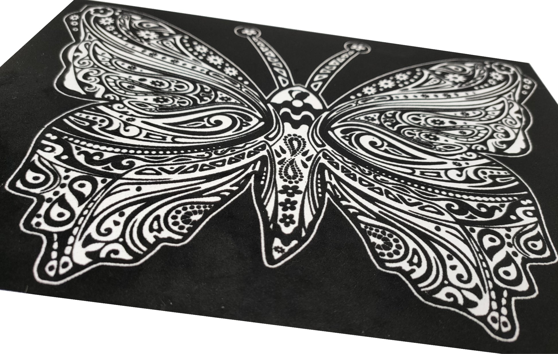 Tataruga Samtbild Malkarton, Karton, 29,7 × 21 cm, schwarz