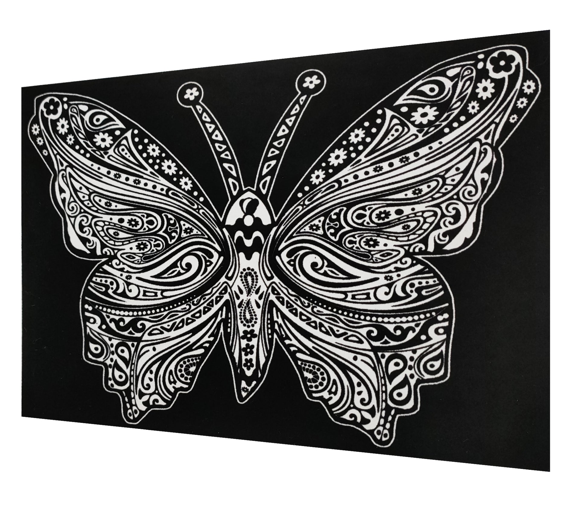 Tataruga Samtbild Malkarton, Karton, 29,7 × 21 cm, schwarz