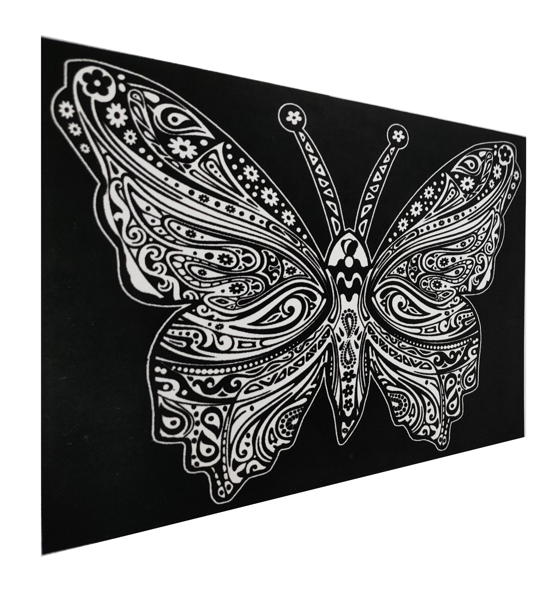 Tataruga Samtbild Malkarton, Karton, 29,7 × 21 cm, schwarz