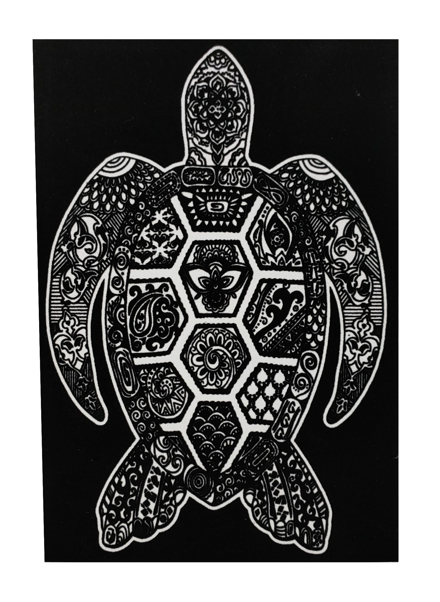 Tataruga Samtbild, Schildkröte, Karton, Samt, Schwarz/Weiss, A4