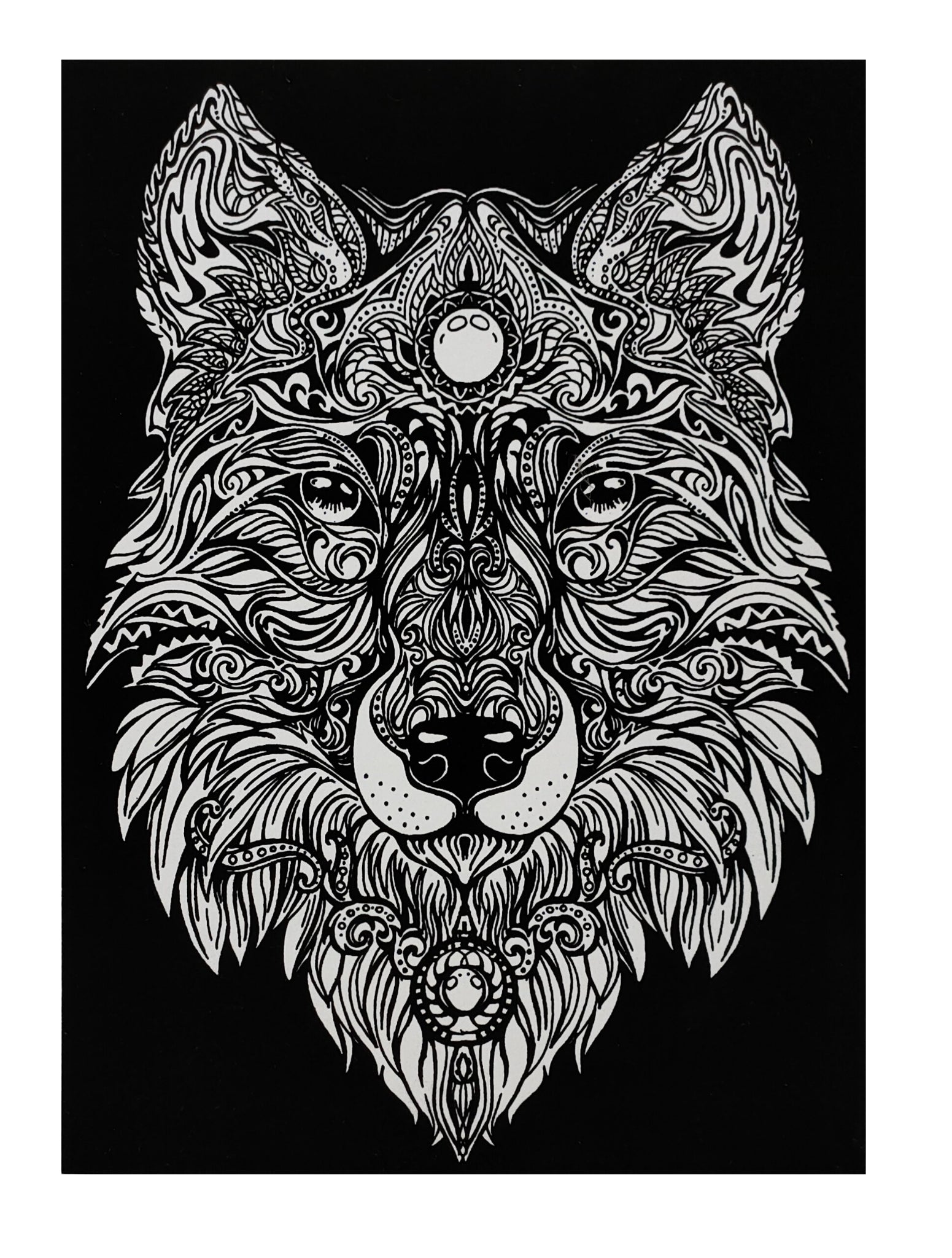 Tataruga Samtbild Malkarton, Karton, 21 × 29,7 cm, Schwarz