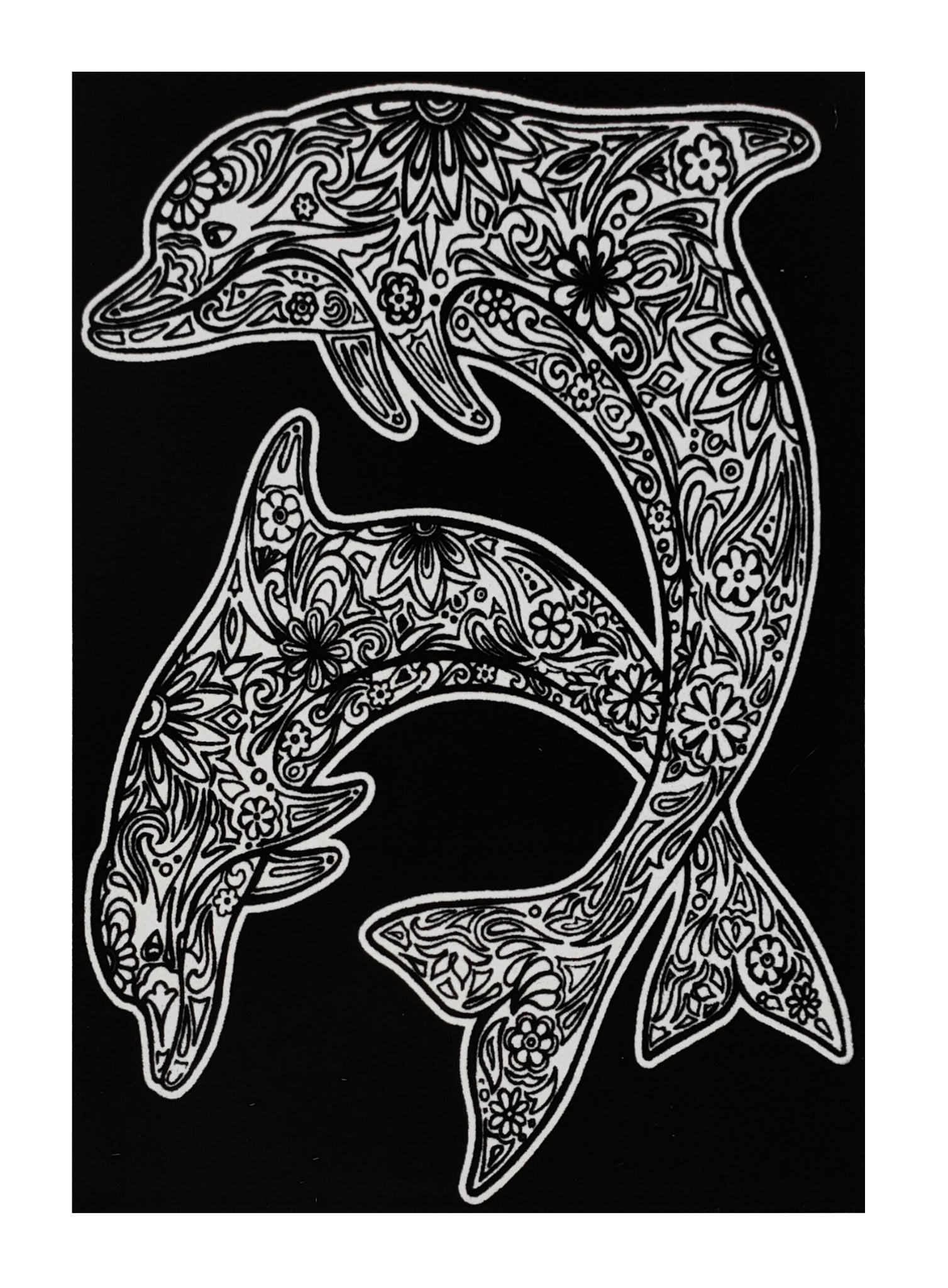 Tataruga Samtbild, Karton, 21 × 29,7 cm, Schwarz